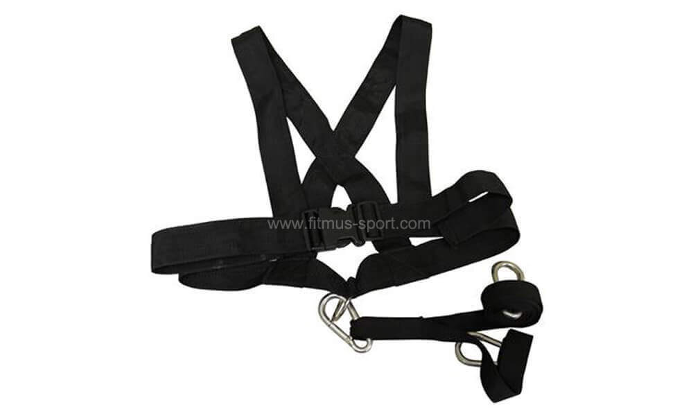 Power Sled Harness