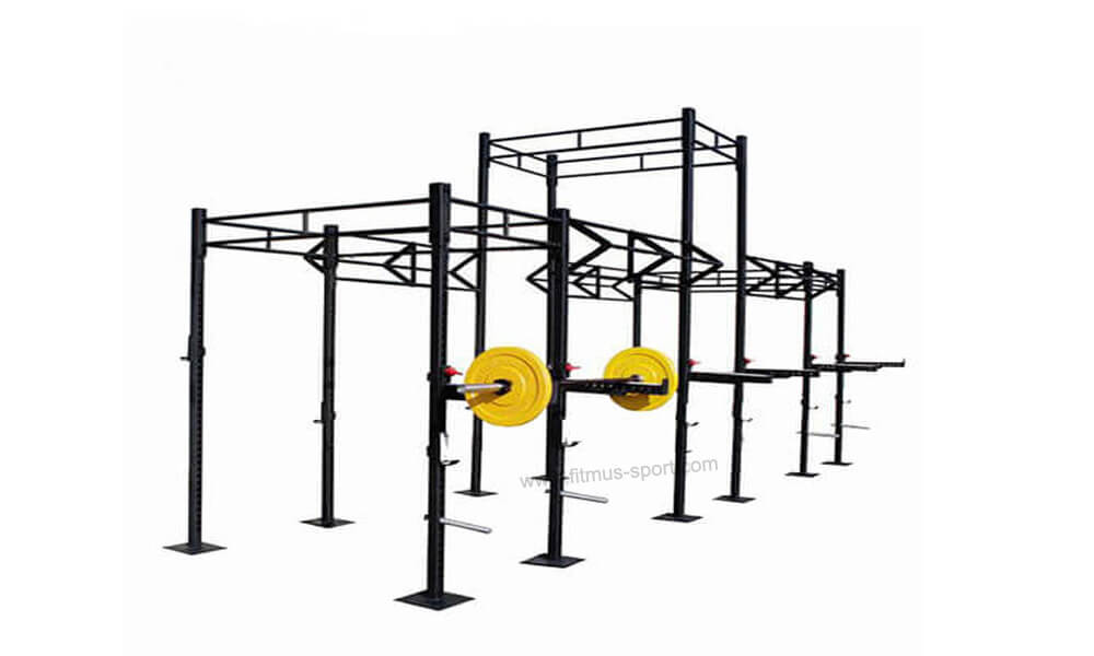 Functional- Pull up Rigs
