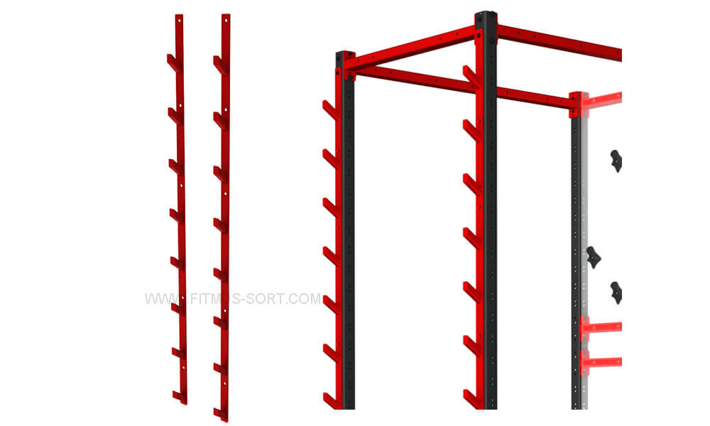 SALMON LADDER