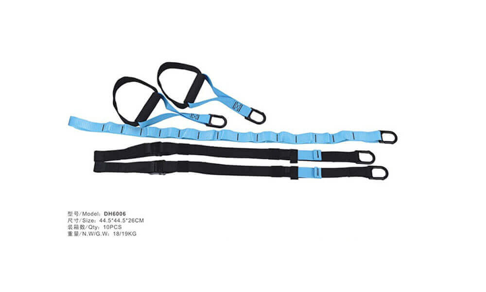 TRX Suspension Straps