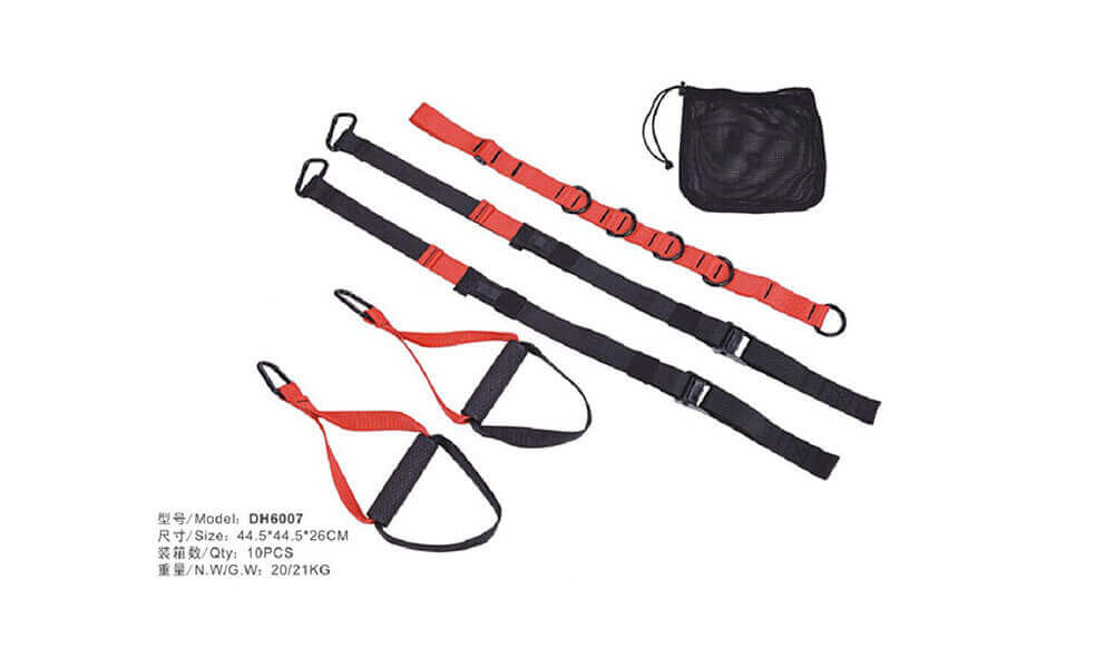 TRX Suspension Straps