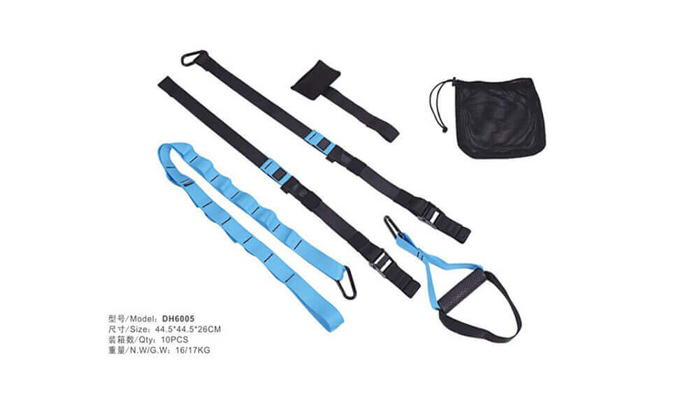 TRX Suspension Straps