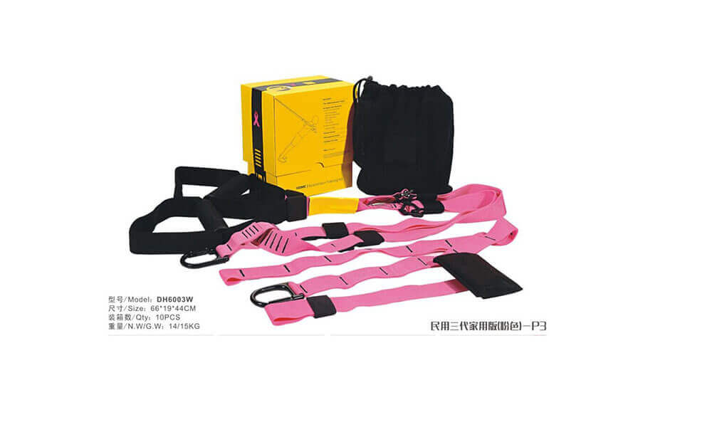 TRX Suspension Trainer