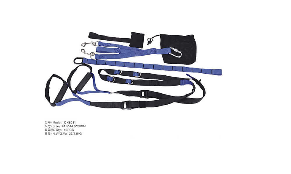 TRX Suspension Straps