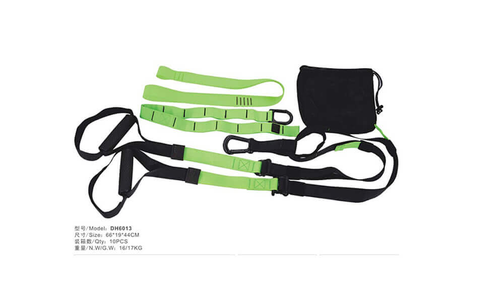 TRX Suspension Straps