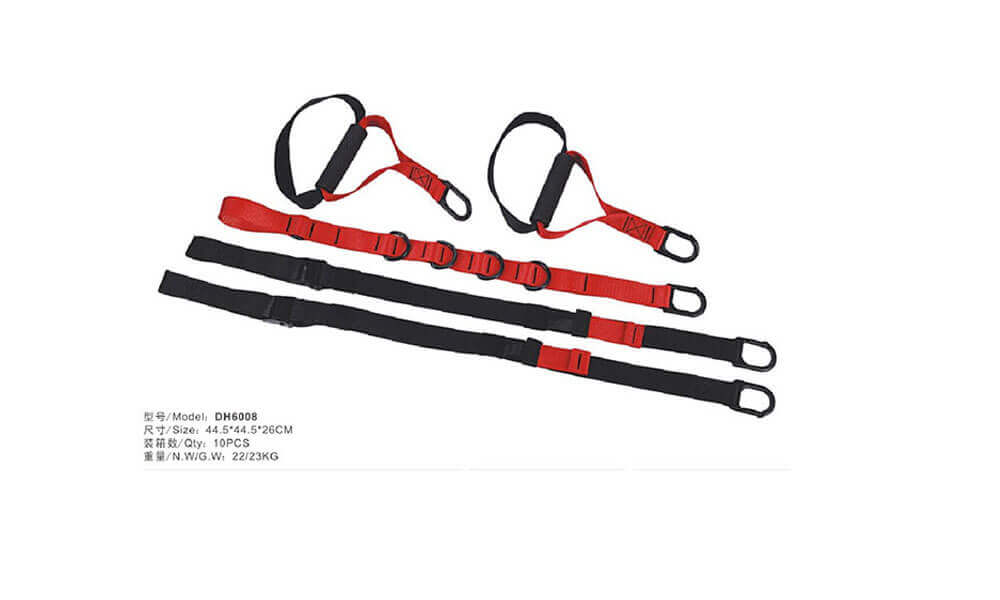 TRX Suspension Straps