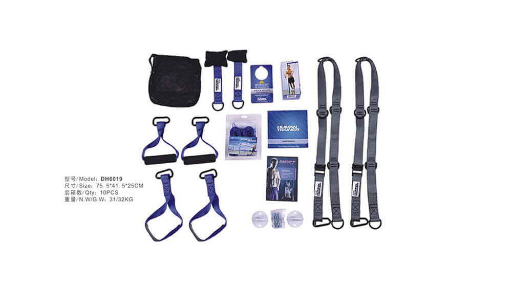TRX Suspension Straps
