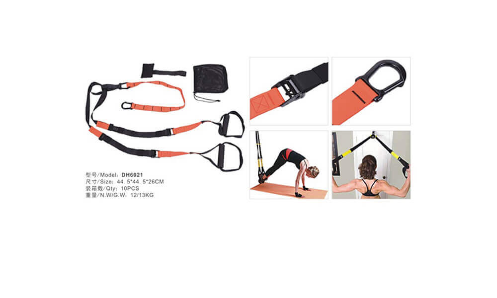 TRX Suspension Straps
