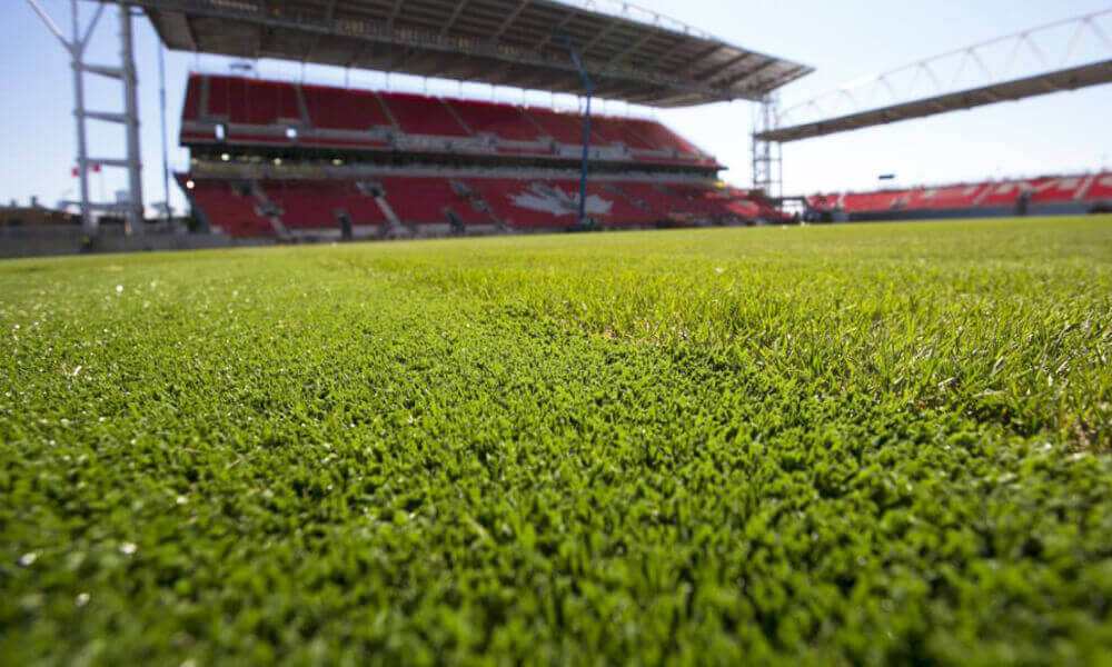 7 Things to Consider Before Buying Artificial Grass