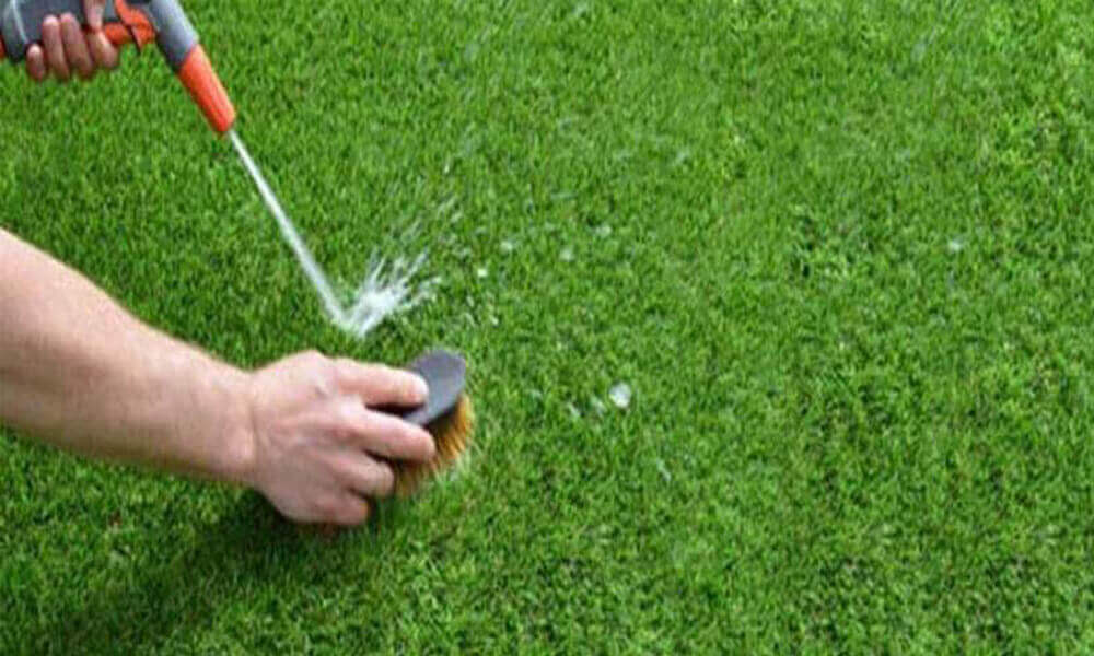 How to Maintain and Clean Artificial Grass?