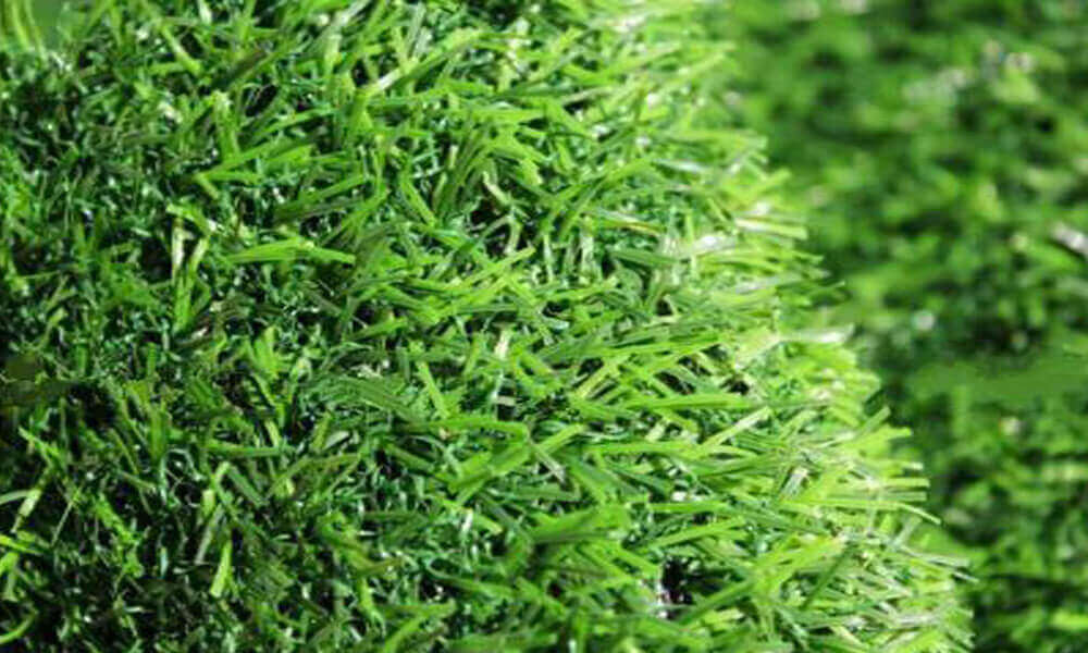 how to maintain artificial turf in summer